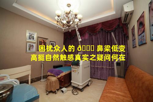困扰众人的 🍀 鼻梁低变高挺自然触感真实之疑问何在